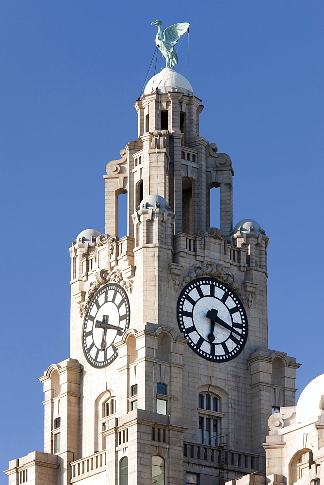 The clock tower on top of the Liver Building at Pier Head in Liverpool, Merseyside, England, United Kingdom, Europe