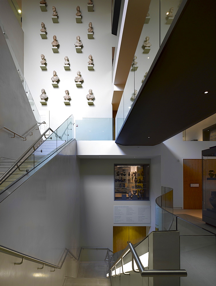 Interior staircase and wall with display of stone portrait buses, Ashmolean Museum and Extension, architect Rick Mather, Oxford, Oxfordshire, England, United Kingdom, Europe