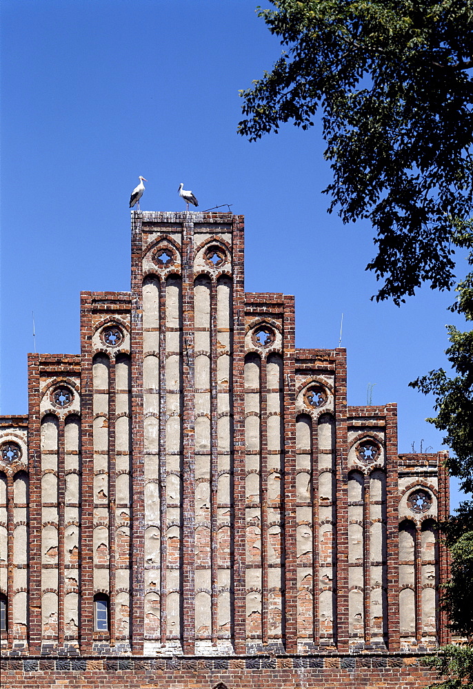 Old abbey, Zinna Monastery, Zinna, Brandenburg, Germany, Europe