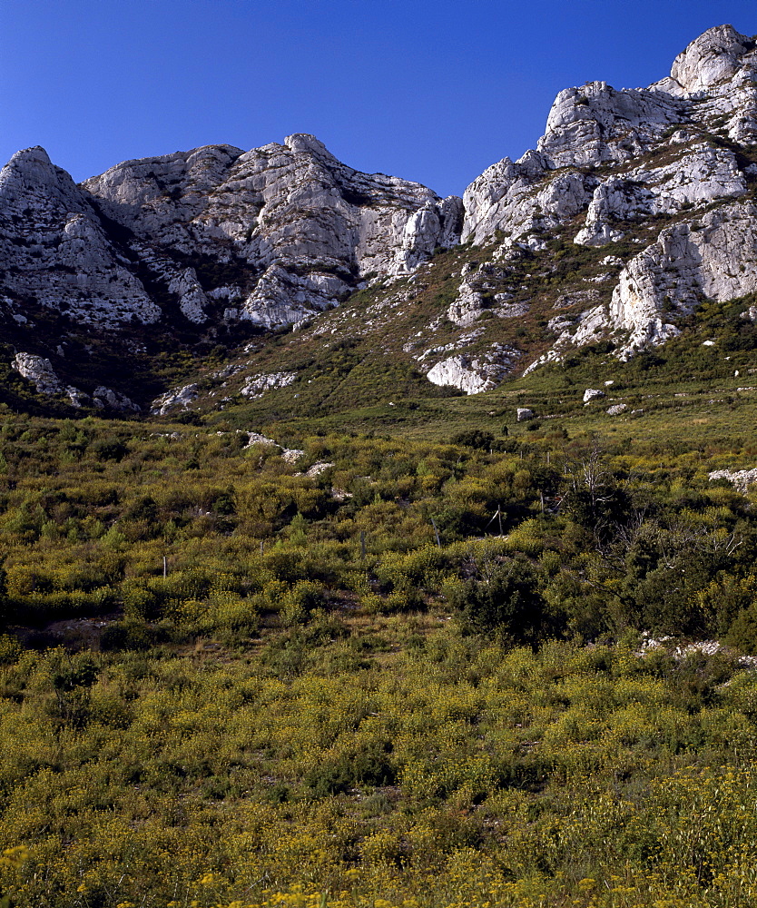 Aureille, Alpilles, Provence, France, Europe