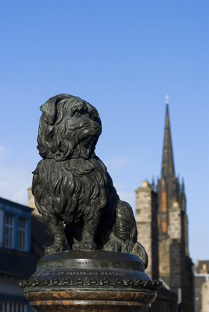 Statue of Greyfriar's Bobby, Edinburgh, Scotland, United Kingdom, Europe