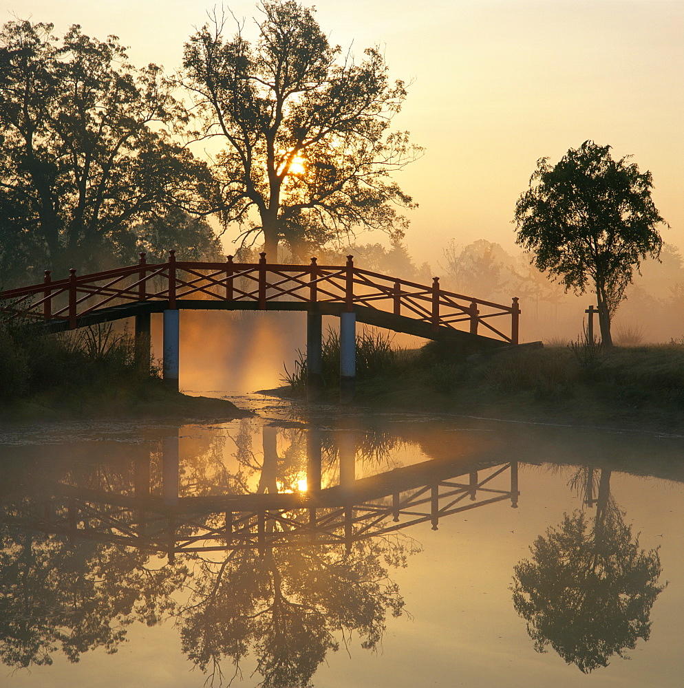 Japanese bridge at dawn in a private garden, United Kingdom, Europe