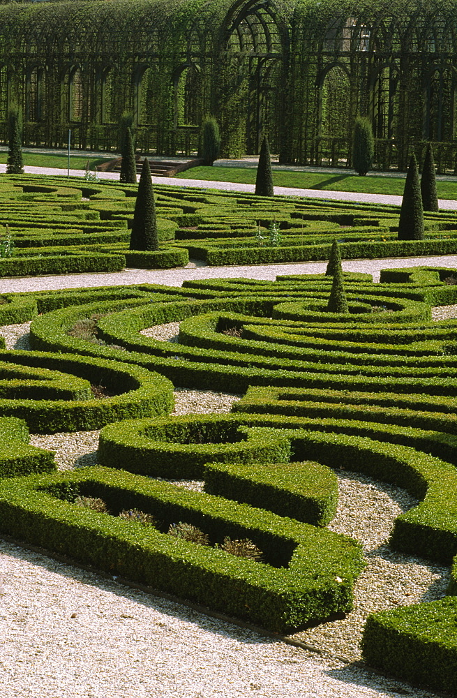 Box maze in the Queen's Garden at Het Loo, Holland, Europe