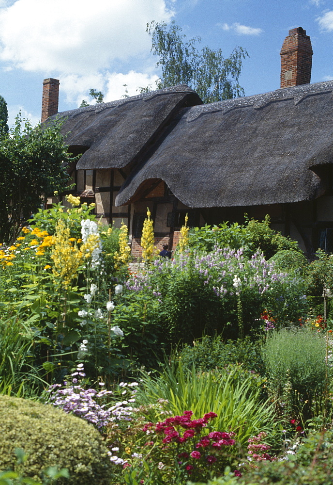 Anne Hathaway's Cottage, dating from the 16th century, Stratford on Avon, Warwickshire, England, United Kingdom, Europe