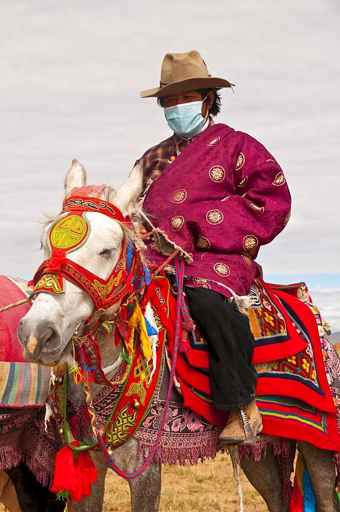 Horse rider on colourfuly dressed horse in the steppe of Western Tibet, China, Asia