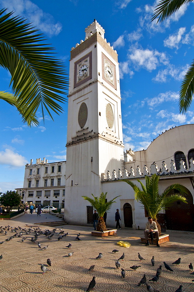 Djamaa El Djedid (Mosque of the Fisherman) on Place Port Said, Algiers, Algeria, North Africa, Africa