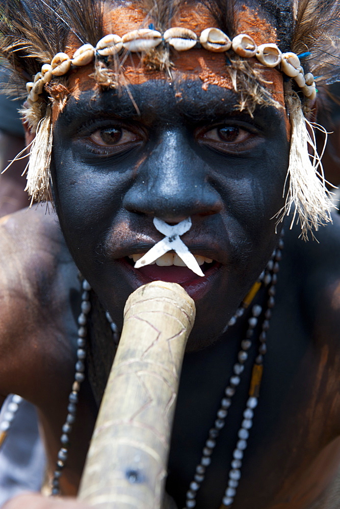 Colourfully dressed and face painted local tribes celebrating the traditional Sing Sing in the Highlands, Papua New Guinea, Pacific