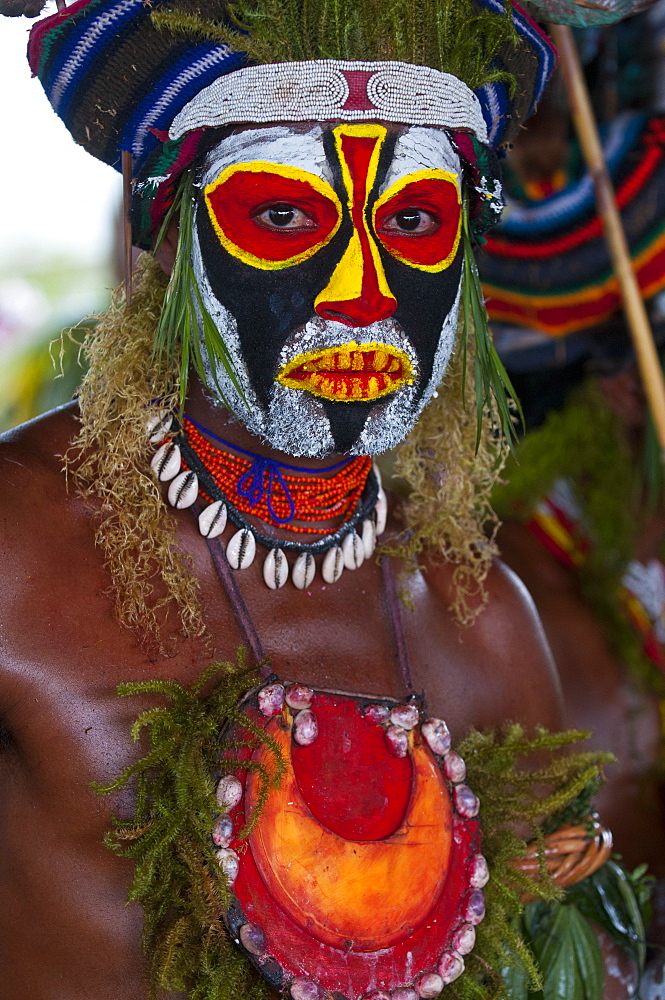 Colourfully dressed and face painted local tribes celebrating the traditional Sing Sing in Enga in the Highlands, Papua New Guinea, Melanesia, Pacific