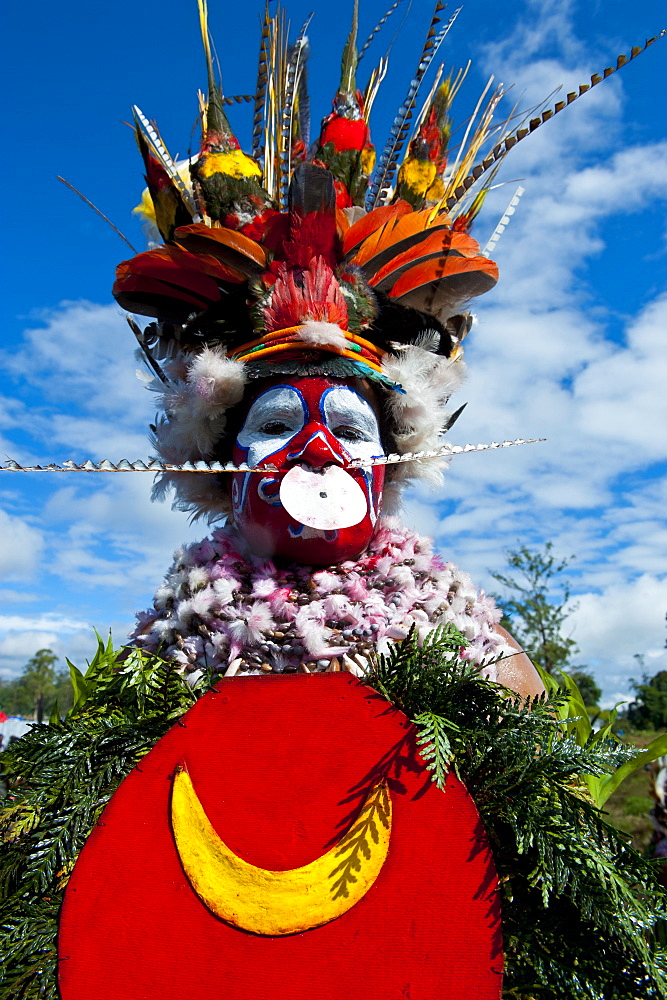 Colourfully dressed and face painted woman celebrating the traditional Sing Sing in the Highlands of Papua New Guinea, Melanesia