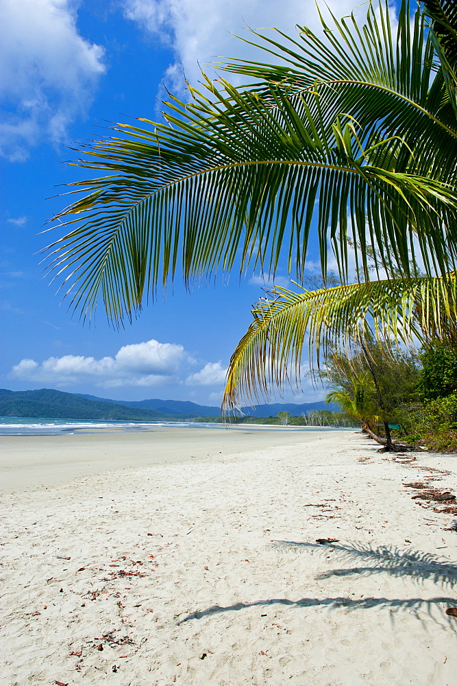 Beautiful sand beach, Cape Tribulation, Queensland, Australia, Pacific