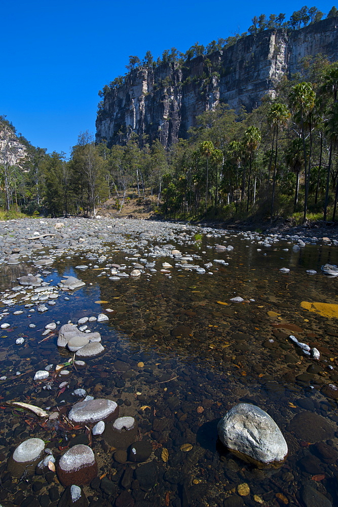 River flowing through the Carnarvon Gorge, Queensland, Australia, Pacific