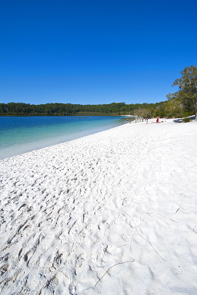 McKenzie Lake, Fraser Island, UNESCO World Heritage Site, Queensland, Australia, Pacific