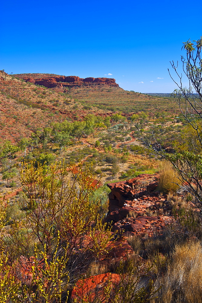 Kings Canyon, Northern Territory, Australia, Pacific