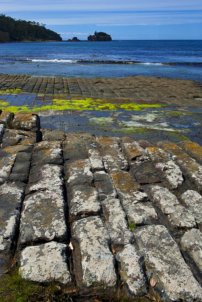 Tessellated Pavement, Tasman Peninsula, Tasmania, Australia, Pacific 