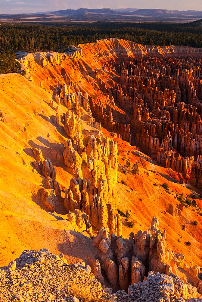 Outlook for the pinnacles in the beautiful rock formations of Bryce Canyon National Park, Utah, United States of America, North America 