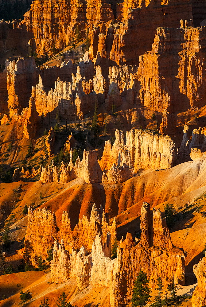 Close up of the pinnacles, beautiful rock formations of Bryce Canyon National Park at sunset, Utah, United States of America, North America 