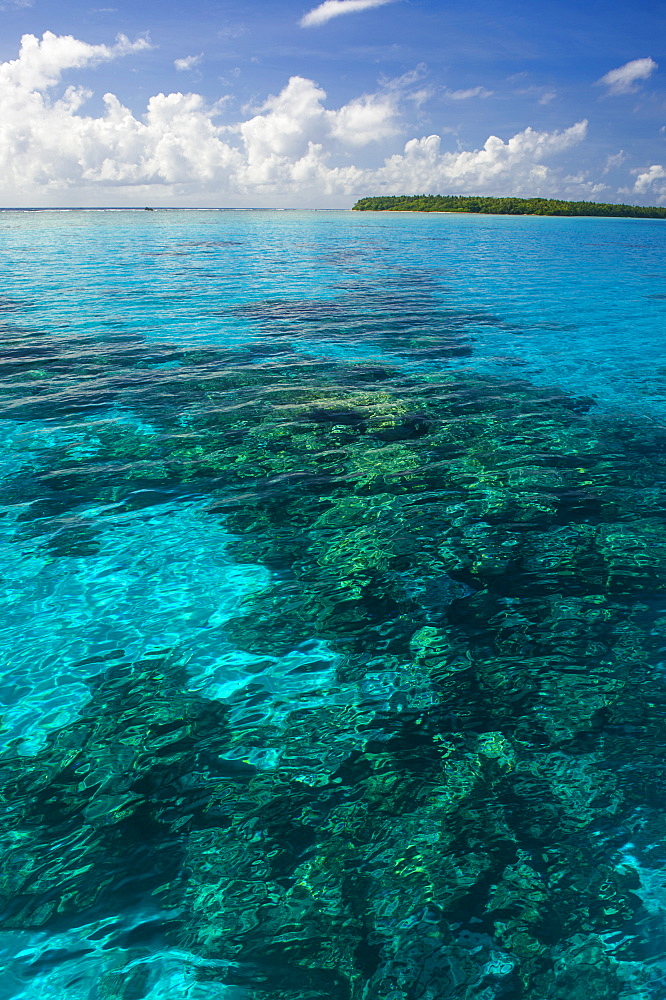 Beautiful turquoise water in the Ant Atoll, Pohnpei, Micronesia, Pacific