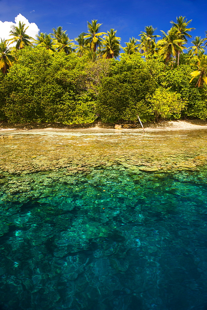 Crystal clear water and an islet in the Ant Atoll, Pohnpei, Micronesia, Pacific