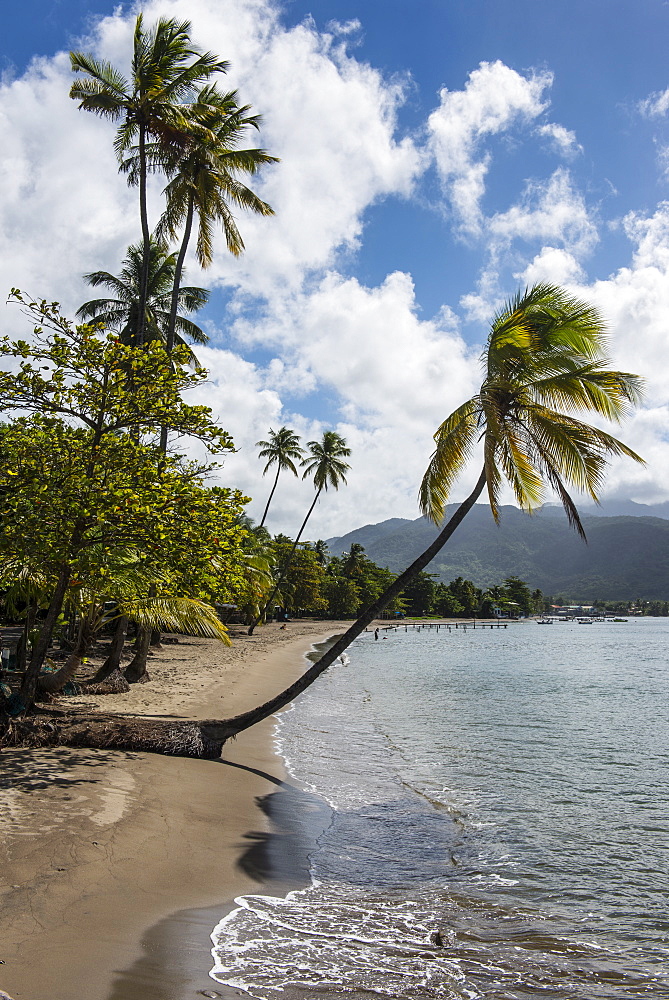 Beach in Prince Rupert Bay, Dominica, West Indies, Caribbean, Central America 