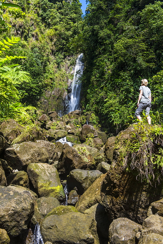 Tourist looking at the Trafalgar Falls, Morne Trois Pitons National Park, UNESCO World Heritage Site, Dominica, West Indies, Caribbean, Central America