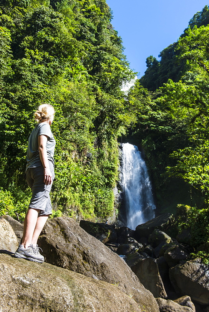 Tourist looking at the Trafalgar Falls, Morne Trois Pitons National Park, UNESCO World Heritage Site, Dominica, West Indies, Caribbean, Central America