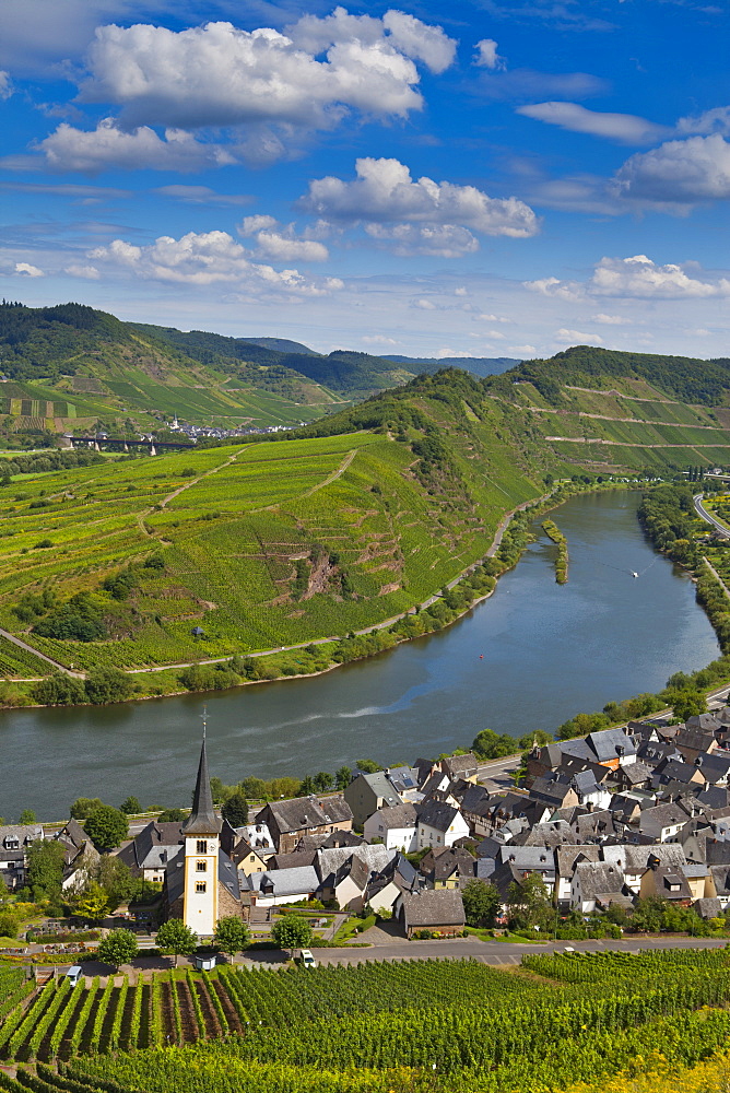 The famous bow near Bremm on the River Moselle, Rhineland-Palatinate, Germany, Europe 