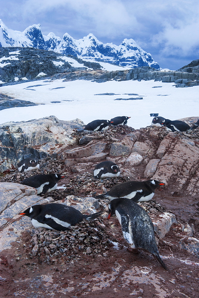 Port Lockroy research station, Antarctica, Polar Regions