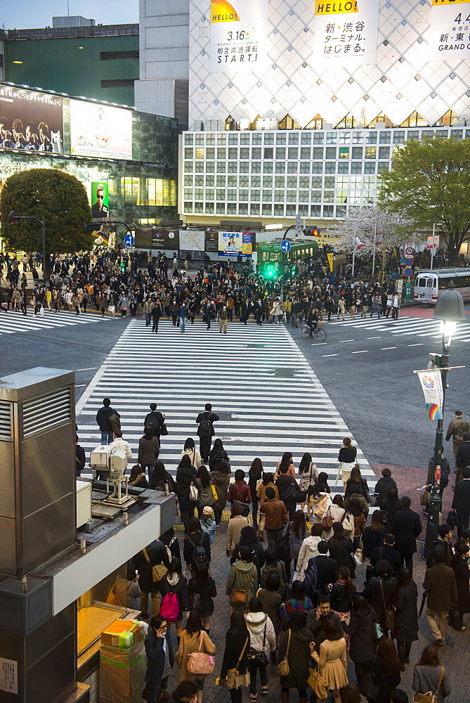 People waiting on the busiest street crossing, Shibuya crossing, Tokyo, Japan, Asia