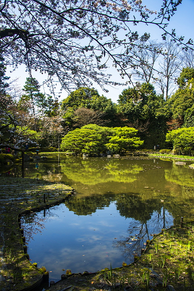 Okazaki Park in the Heian Jingu shrine, Kyoto, Japan, Asia