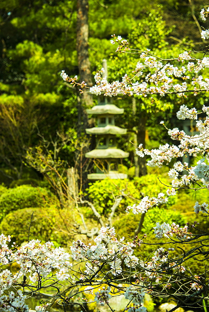 Okazaki Park in the Heian Jingu shrine, Kyoto, Japan, Asia