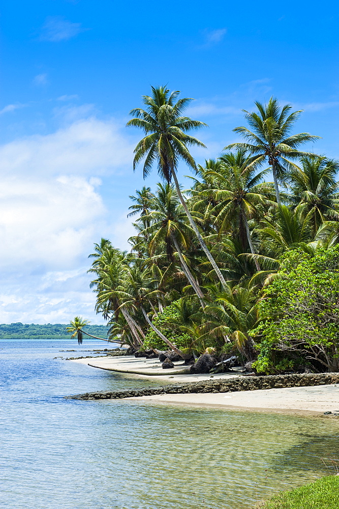 Beautiful white sand beach and palm trees on the island of Yap, Federated States of Micronesia, Caroline Islands, Pacific 