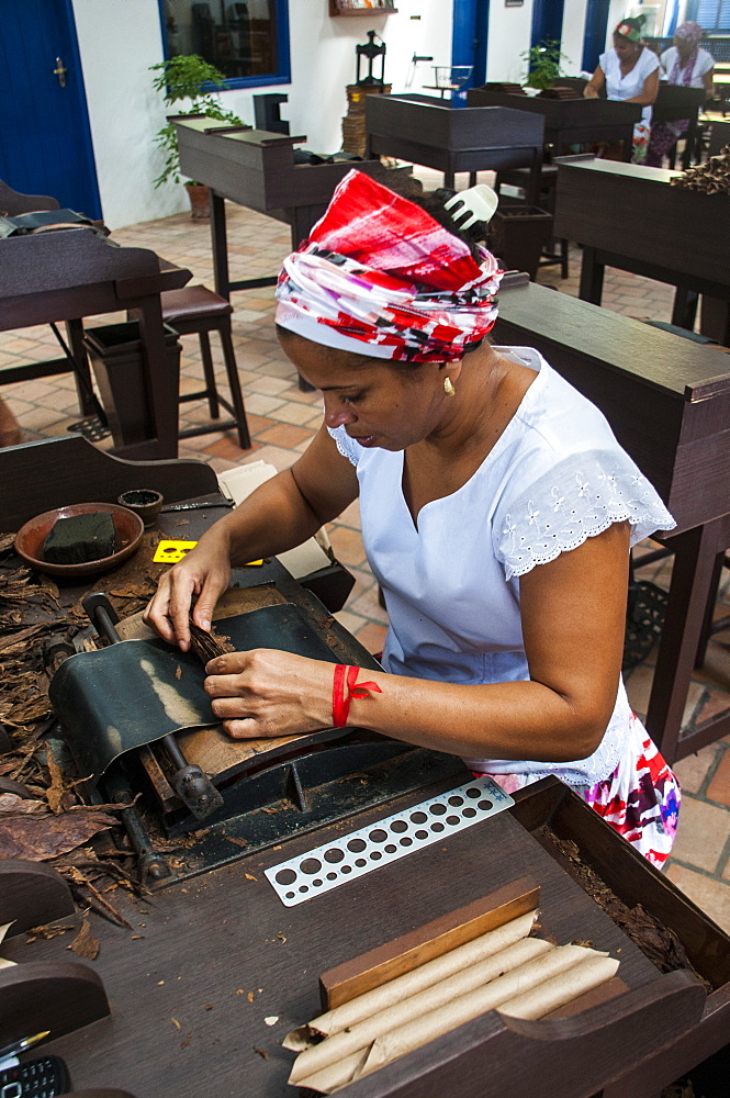 Woman rolling cigars in the Dannemann cigar company in Cachoeira, Bahia, Brazil, South America