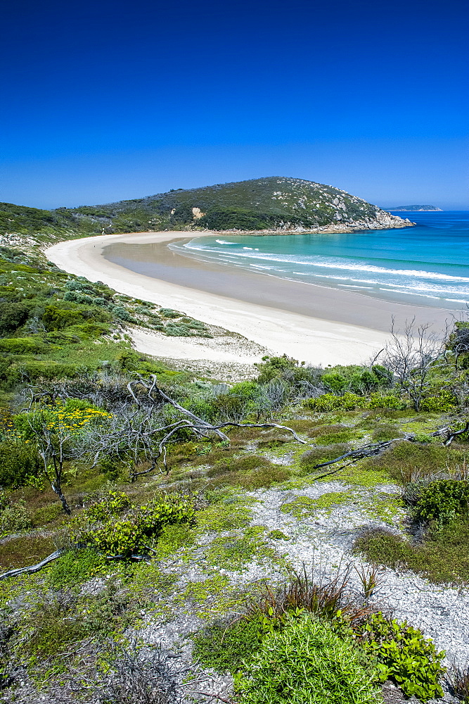 Long wide sandy beach in the Wilsons Promontory National Park, Victoria, Australia, Pacific