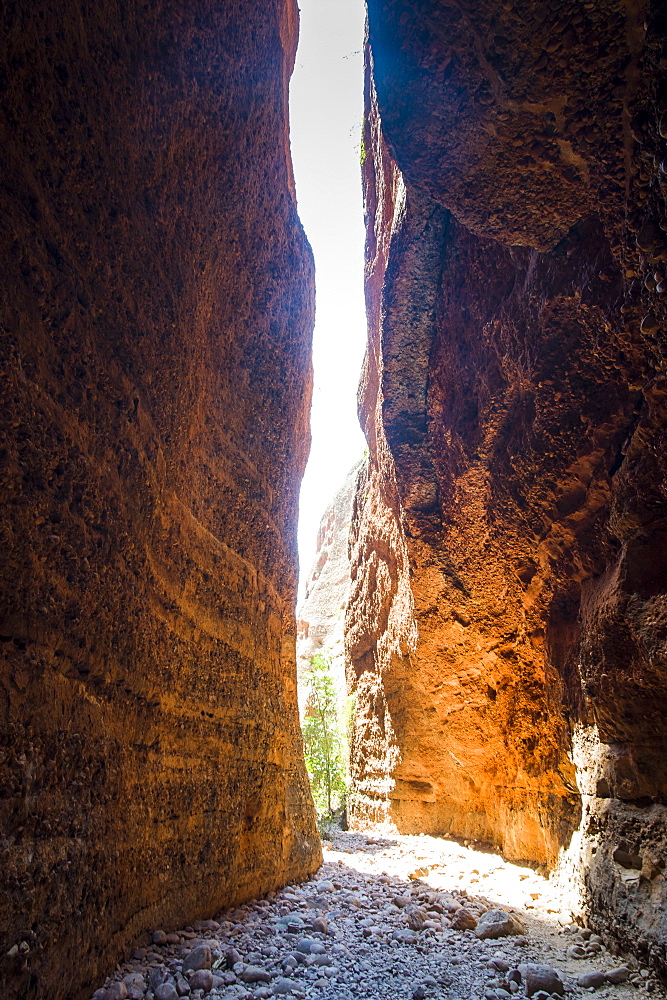 Echidna Chasm, Purnululu National Park, UNESCO World Heritage Site, Bungle Bungle Mountain Range, Western Australia, Australia, Pacific