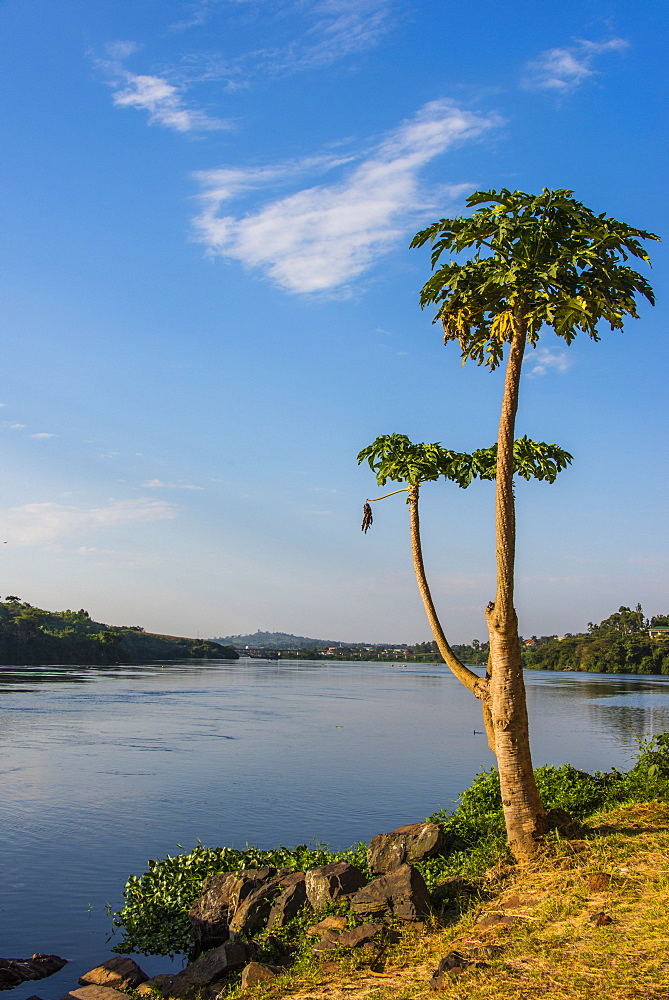 Source of the Nile in Jinja, Uganda, East Africa, Africa