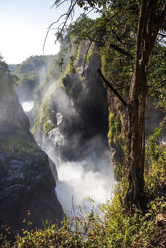 Murchison Falls (Kabarega Falls) on the Nile, Murchison Falls National Park, Uganda, East Africa, Africa