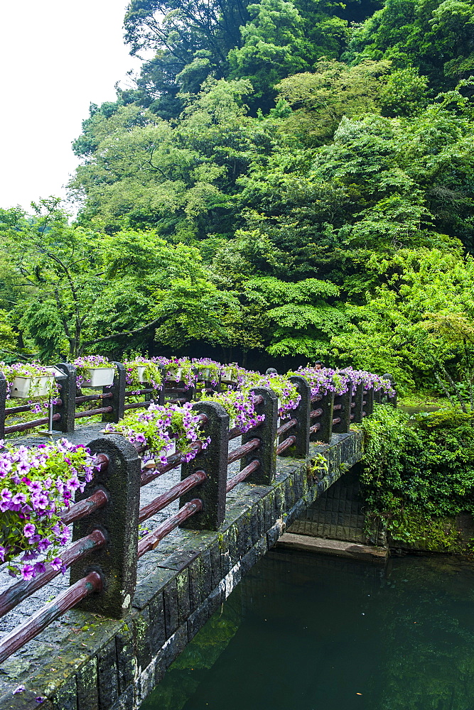 Stone bridge with flowers in Seogwipo, island of Jejudo, UNESCO World Heritage Site, South Korea, Asia