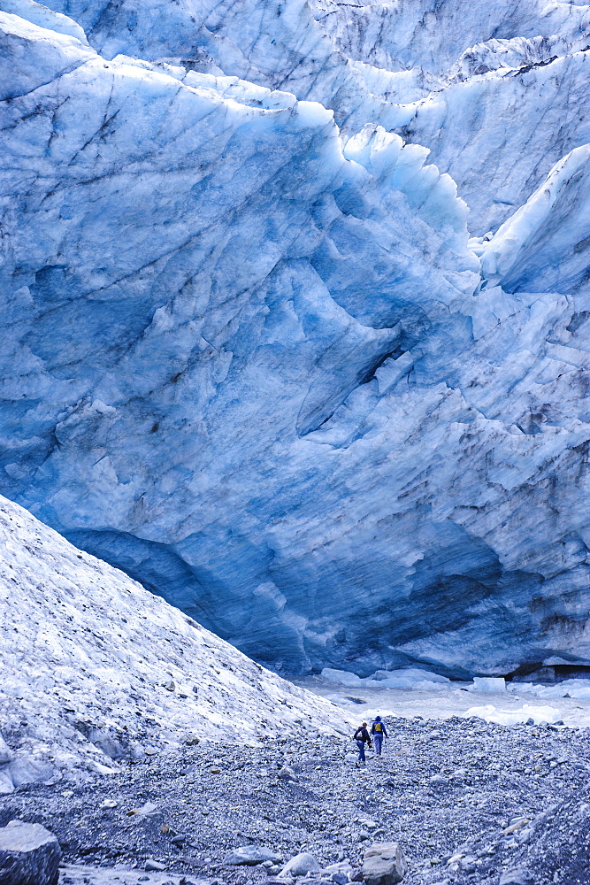 Tourist hiking to the giant glacial outflow of Fox Glacier, Westland Tai Poutini National Park, South Island, New Zealand, Pacific