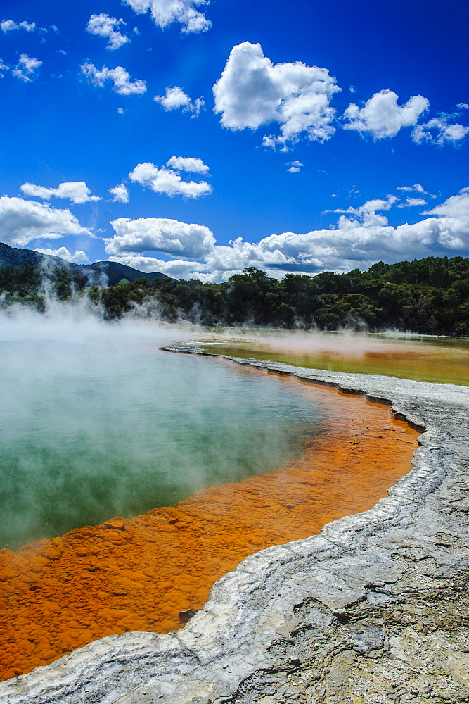 The colourful multi hued Champagne Pool, Wai-O-Tapu Thermal Wonderland, Waiotapu, North Island, New Zealand, Pacific