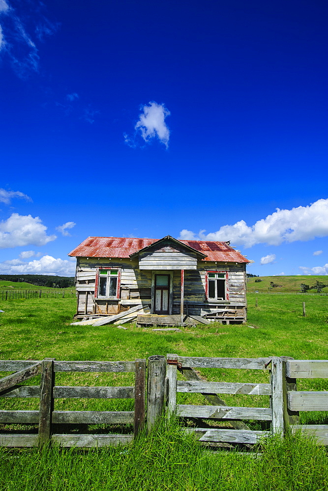 Old farming cottage, West coast, Northland, North Island, New Zealand, Pacific