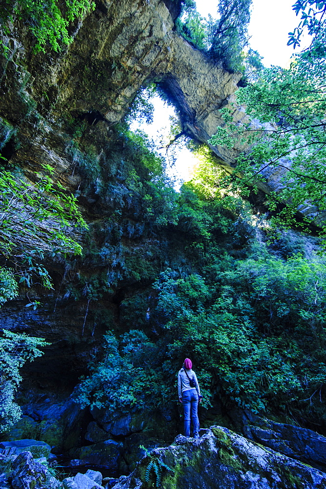 Woman looking at the stunning Oparara Arch in the Oparara Basin, Karamea, West Coast, South Island, New Zealand, Pacific