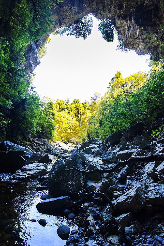 Oparara arch in the Oparara Basin, Karamea, West Coast, South Island, New Zealand, Pacific