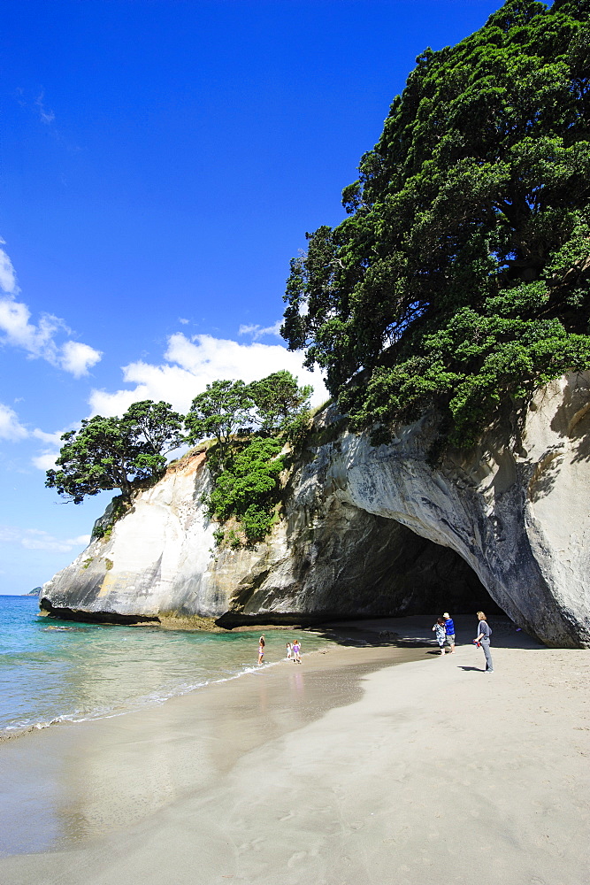 Cave as an entrance to the beautiful Cathedral Cove, Coromandel, North Island, New Zealand, Pacific