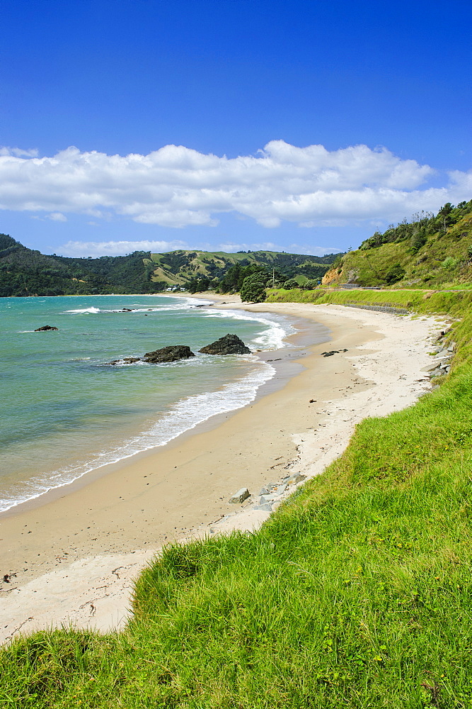 Lonely beach on the coastline of Northern Coromandel, North Island, New Zealand, Pacific 