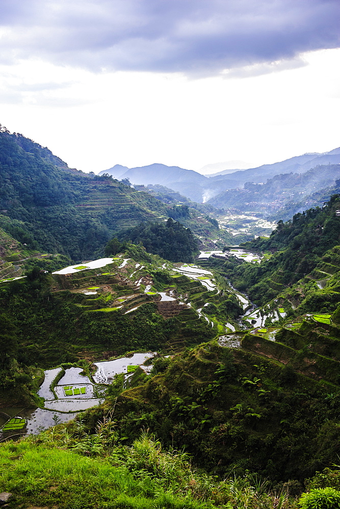 The rice terraces of Banaue, UNESCO World Heritage Site, Northern Luzon, Philippines, Southeast Asia, Asia