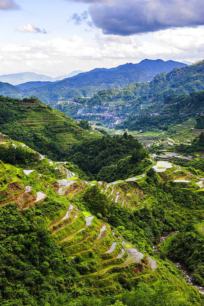 The rice terraces of Banaue, UNESCO World Heritage Site, Northern Luzon, Philippines, Southeast Asia, Asia