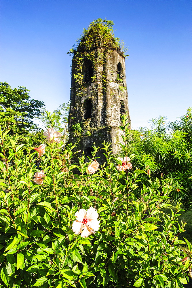 Cagsawa Church, Mount Mayon, Legaspi, Southern Luzon, Philippines, Southeast Asia, Asia