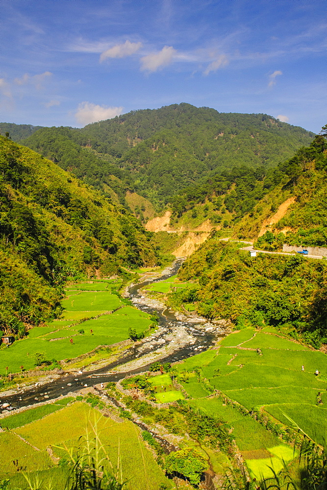 Along the rice terraces from Bontoc to Banaue, Luzon, Philippines, Southeast Asia, Asia