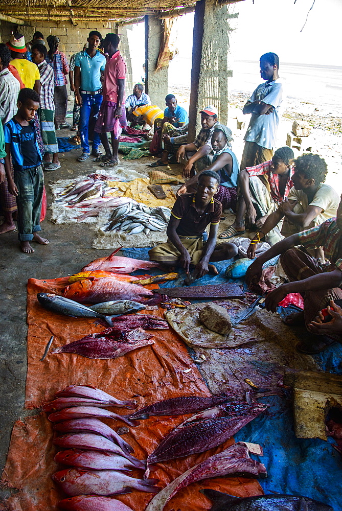 Men selling fish at the Fish Market of Hadibo, capital of the island of Socotra, Yemen, Middle East