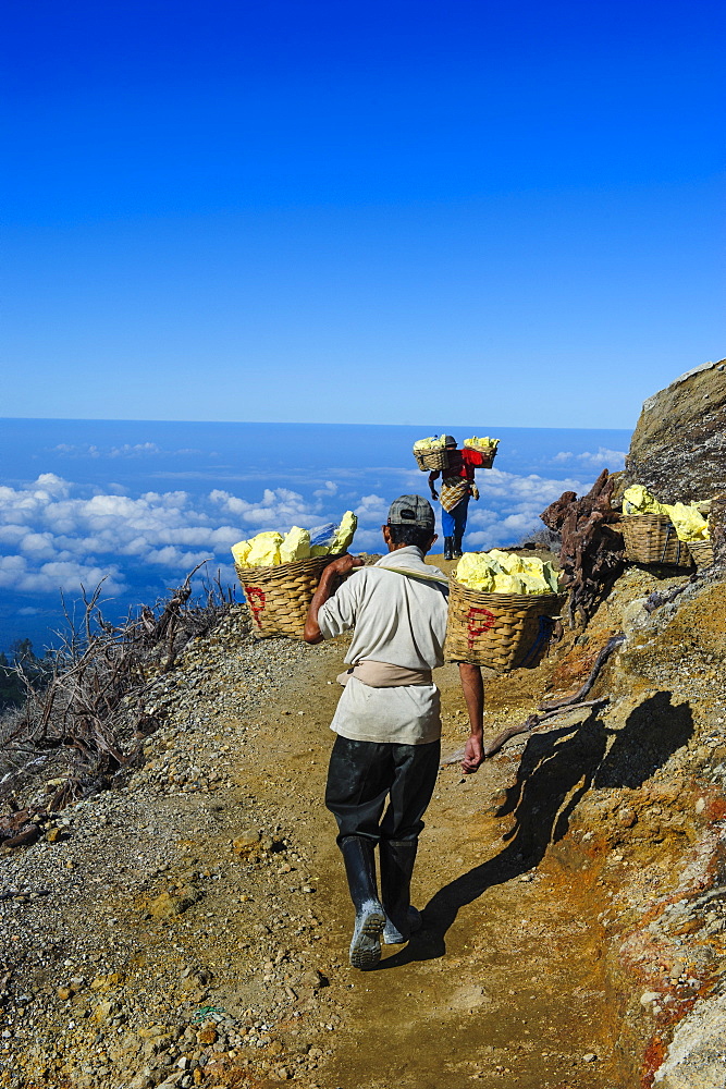 Workers carrying big pieces of sulphur out of the Ijen Volcano, Java, Indonesia, Southeast Asia, Asia